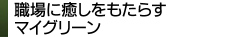 職場に癒しをもたらすマイグリーン